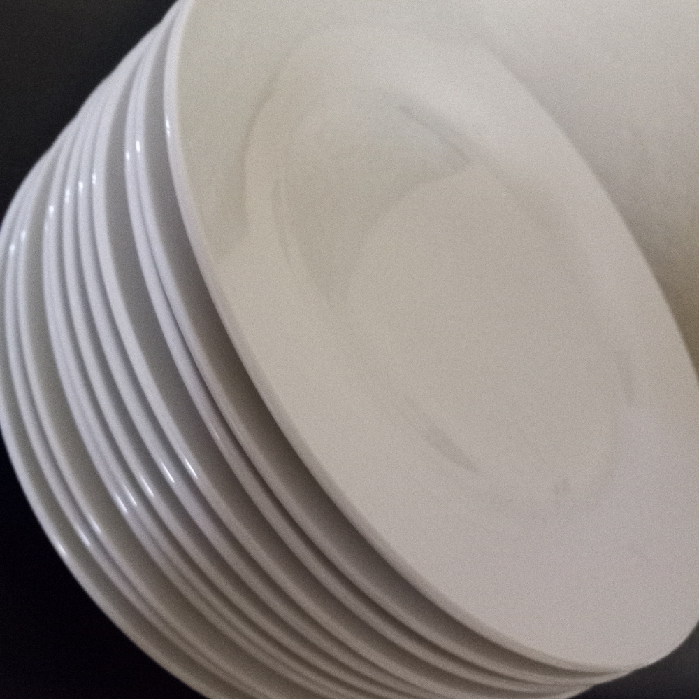 Dinner plates